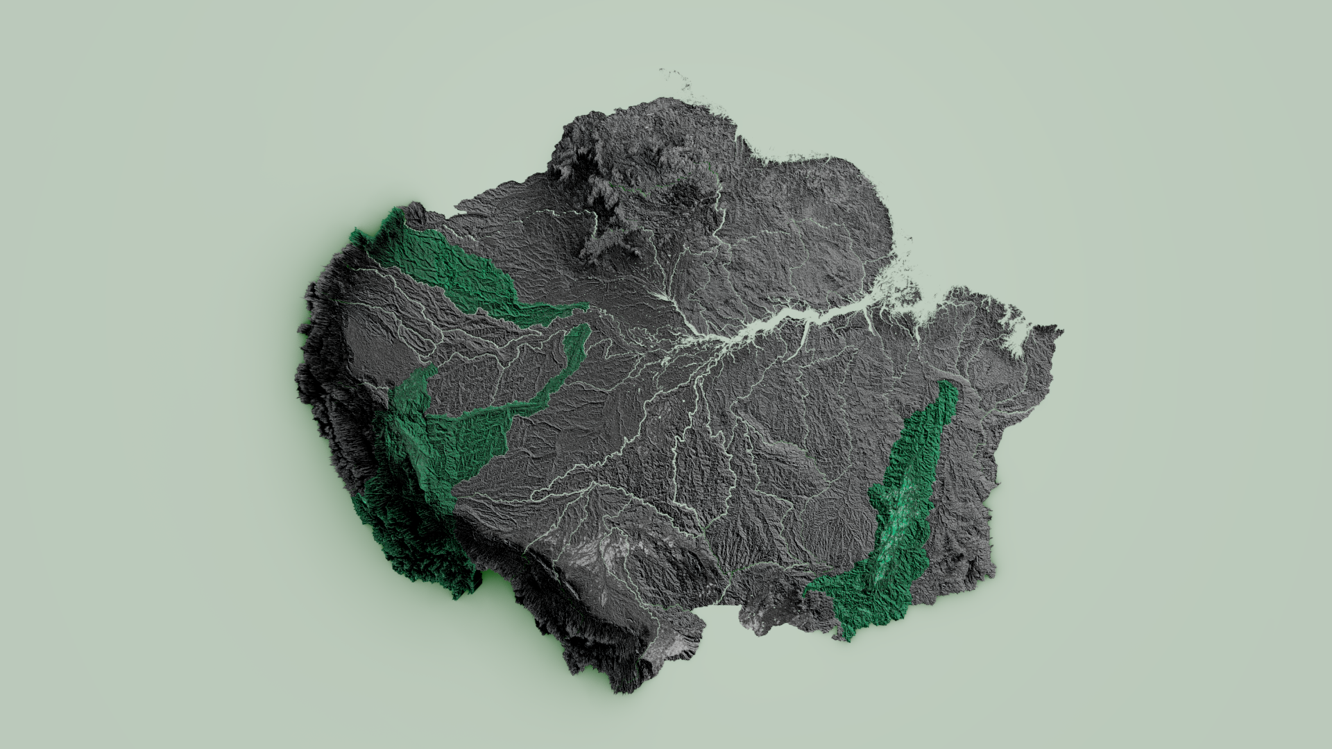 Amazon Basin