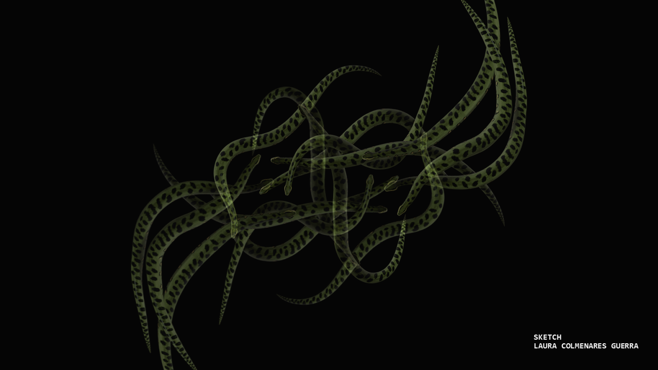SELVA_SCRIPT_005