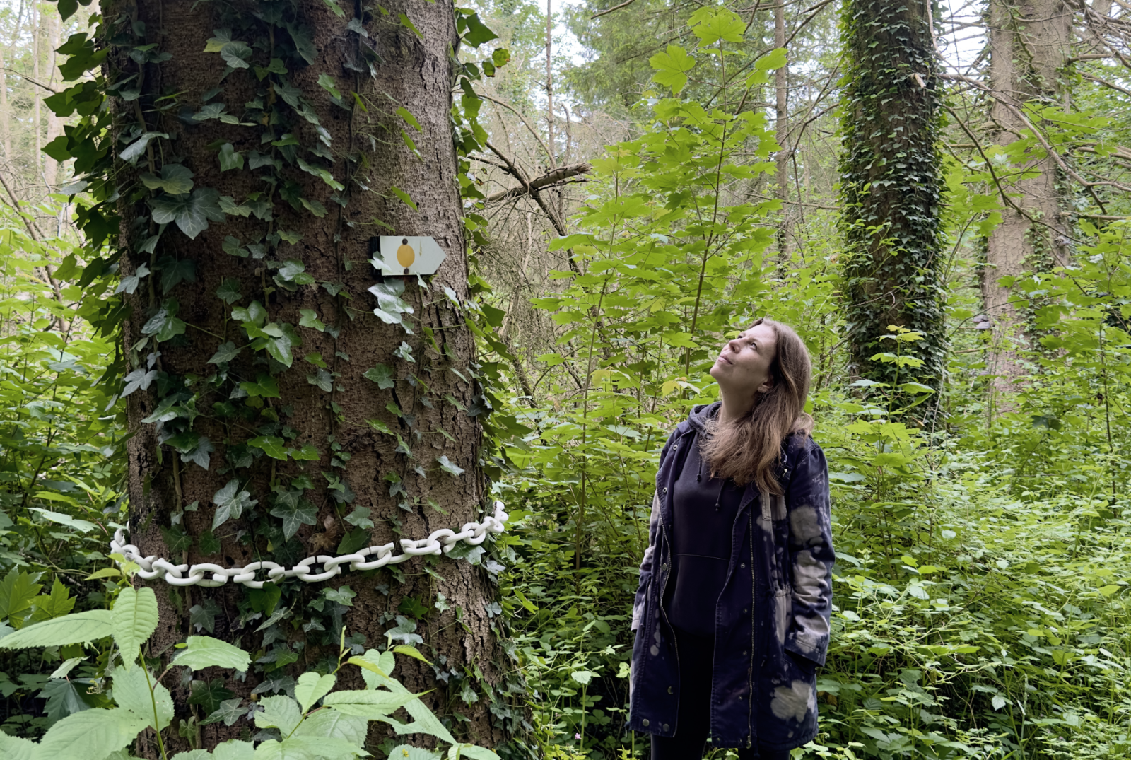 pearls_for_trees_001