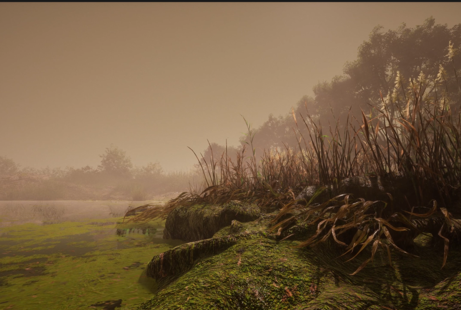 PERSISTENT ELSEWHERE_001