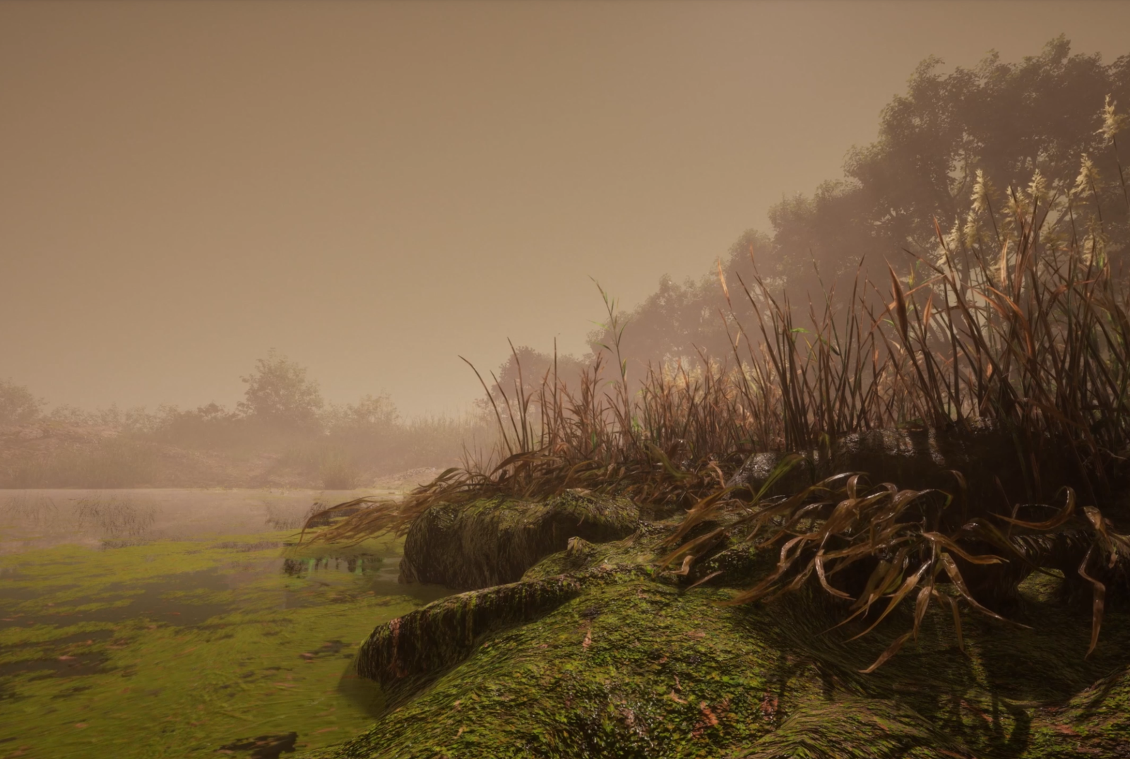 persistent_elsewhere_001b.png 