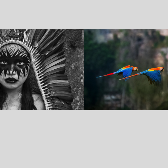 Selva_VAF_004.png