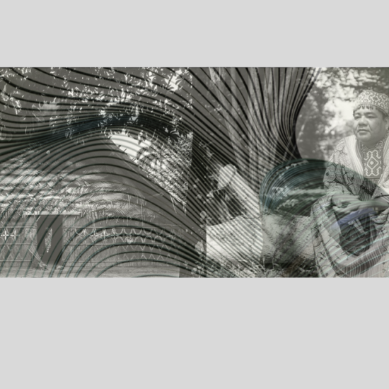 Selva_VAF_008.png