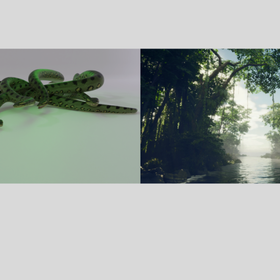 Selva_VAF_010.png