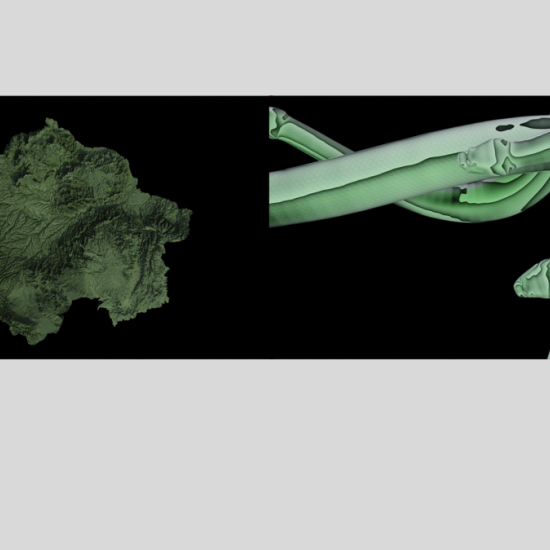 Selva_VAF_011.png