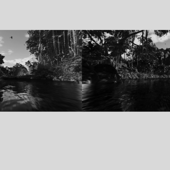 Selva_VAF_013.png