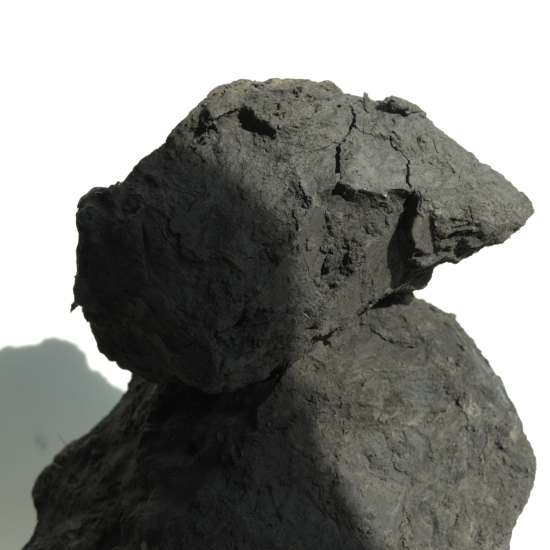 Clay_KempenPlateau_LauraColmenaresGuerra_005