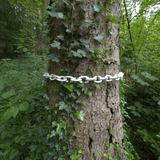 pearls_for_trees_002
