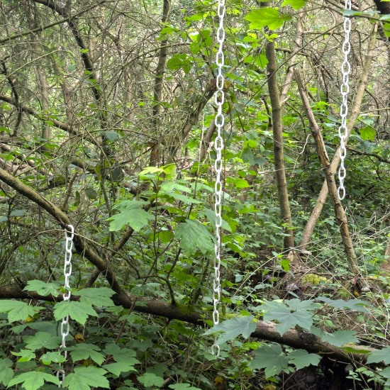 pearls_for_trees_009