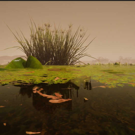 PERSISTENT ELSEWHERE_004