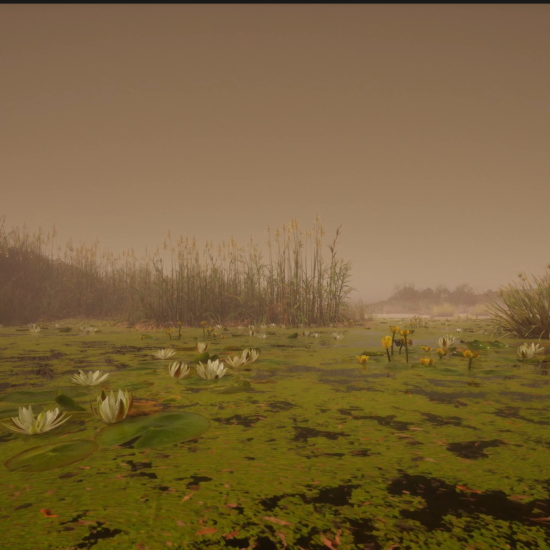 PERSISTENT ELSEWHERE_005