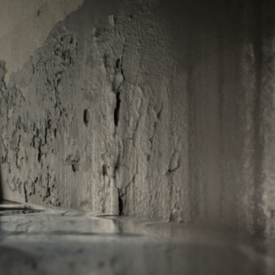 PERSISTENT ELSEWHERE_N1_004